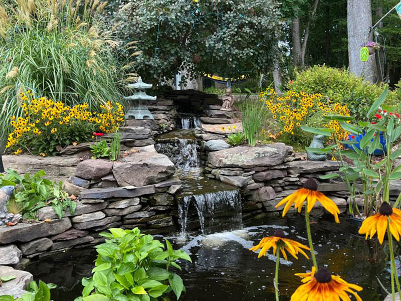 Backyard Ponds, LLC - Gallery
