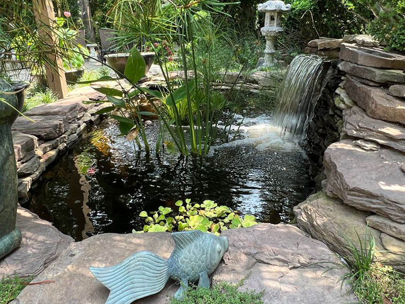 Gallery - Backyard Ponds, LLC