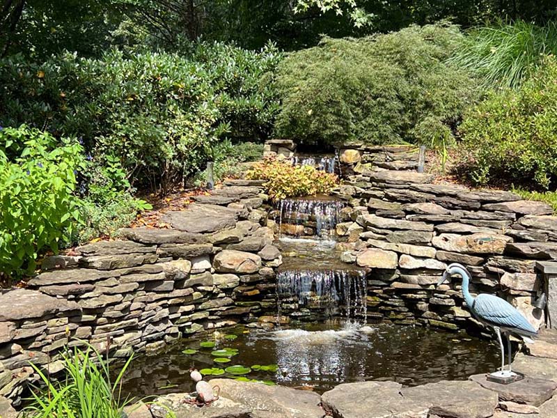 Backyard Ponds