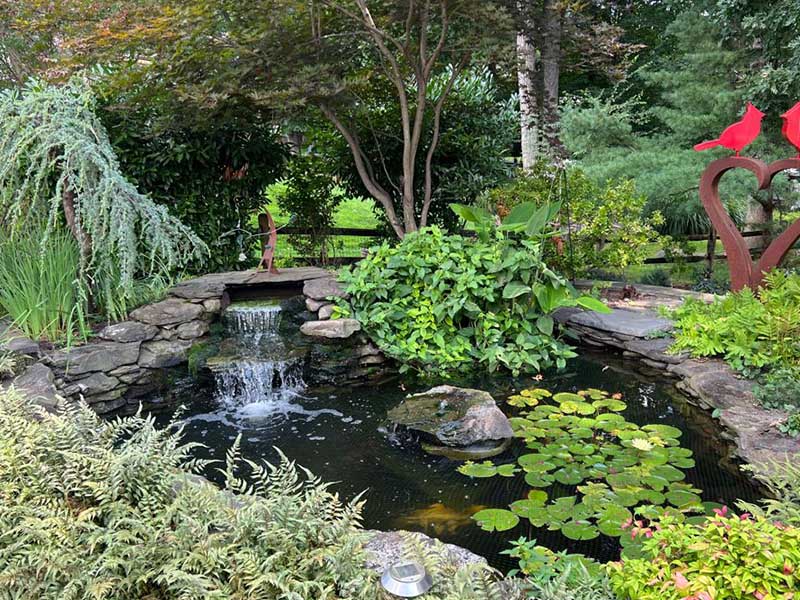 Gallery - Backyard Ponds, LLC