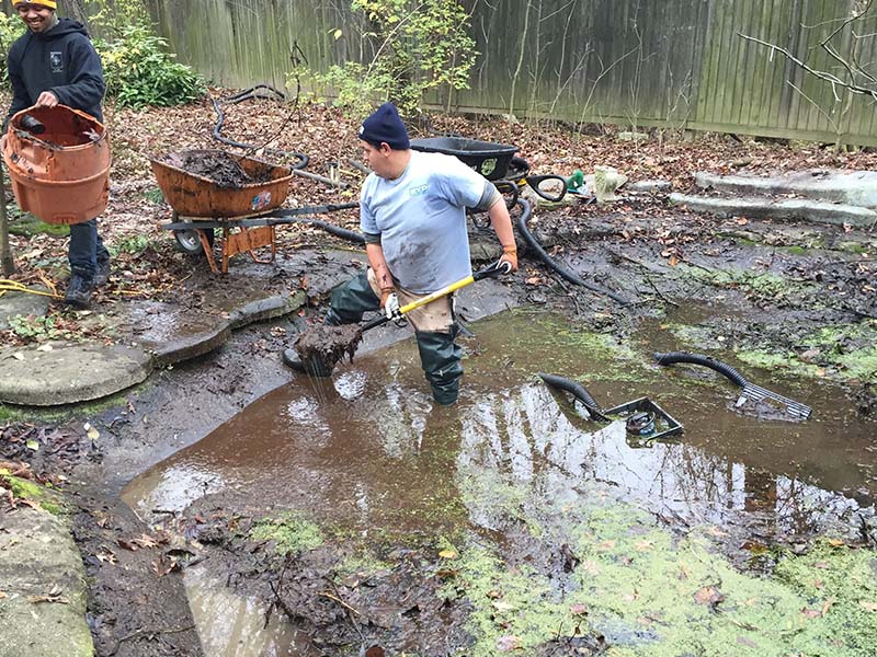 Backyard Ponds, LLC