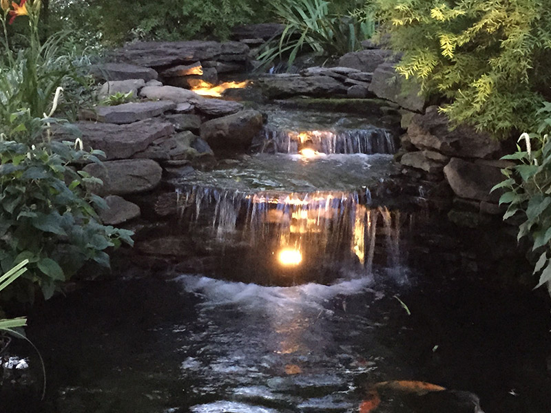 Backyard Ponds, LLC