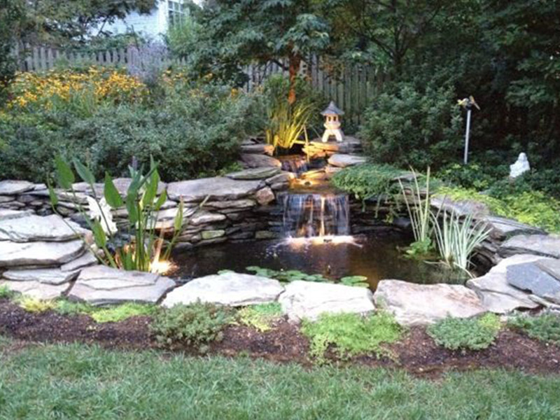Backyard Ponds, LLC
