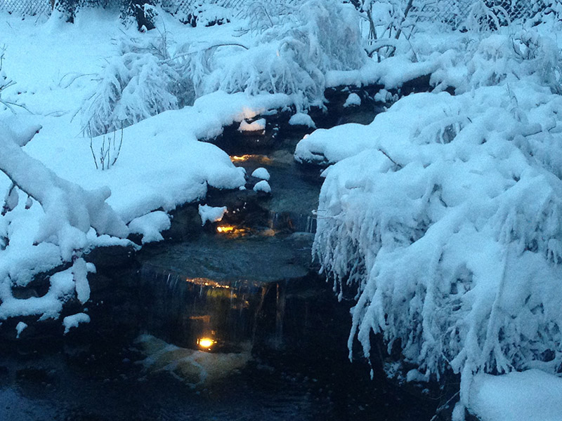 Backyard Ponds, LLC