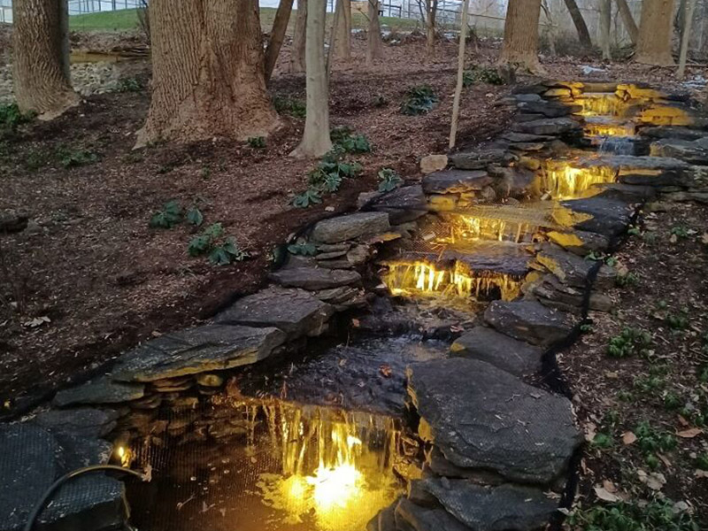 Backyard Ponds, LLC