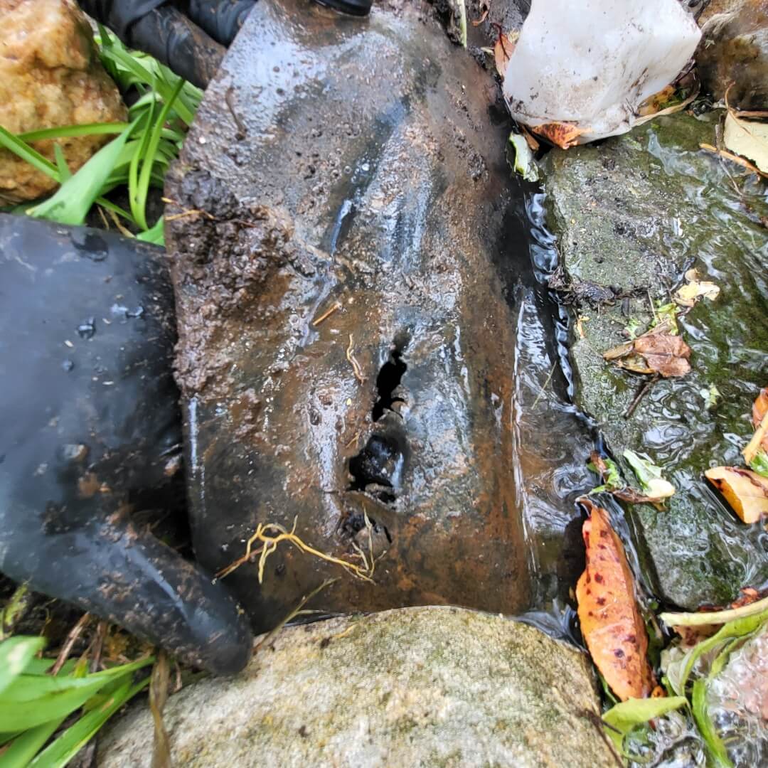 Pond Cleaning - Backyard Ponds