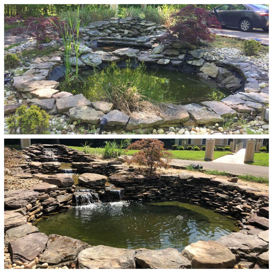 Pond Cleaning - Backyard Ponds